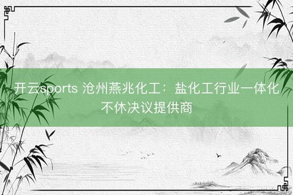 开云sports 沧州燕兆化工：盐化工行业一体化不休决议提供商