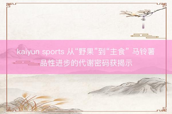 kaiyun sports 从“野果”到“主食” 马铃薯品性进步的代谢密码获揭示